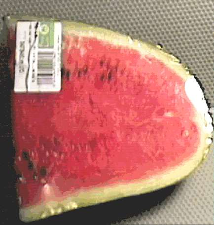 junkmelon.jpg (25025 bytes)